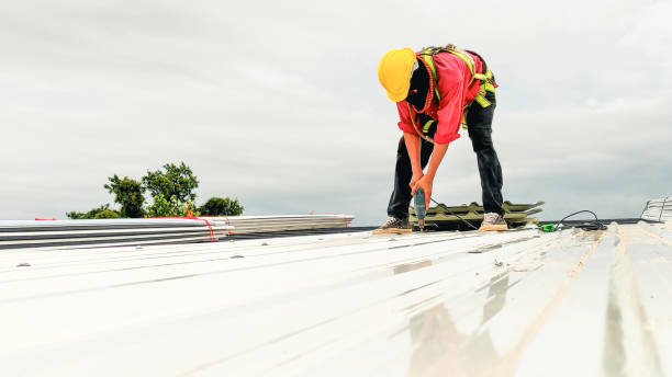 Best 4 Ply Roofing  in Lino Lakes, MN