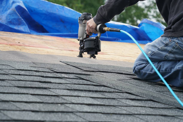 Best Roof Moss and Algae Removal  in Lino Lakes, MN
