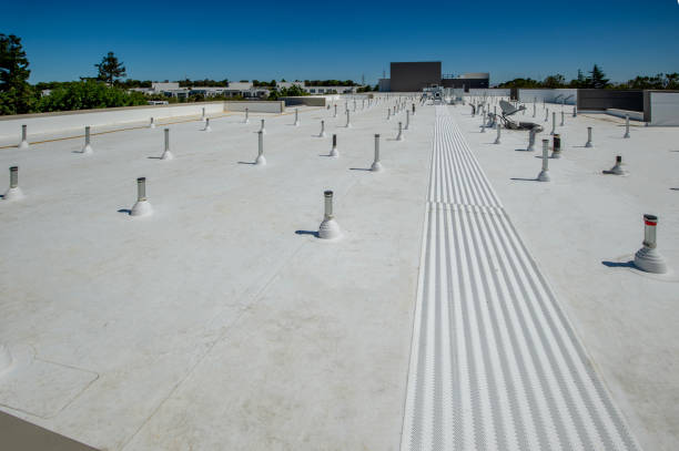 Best Roof Leak Repair  in Lino Lakes, MN